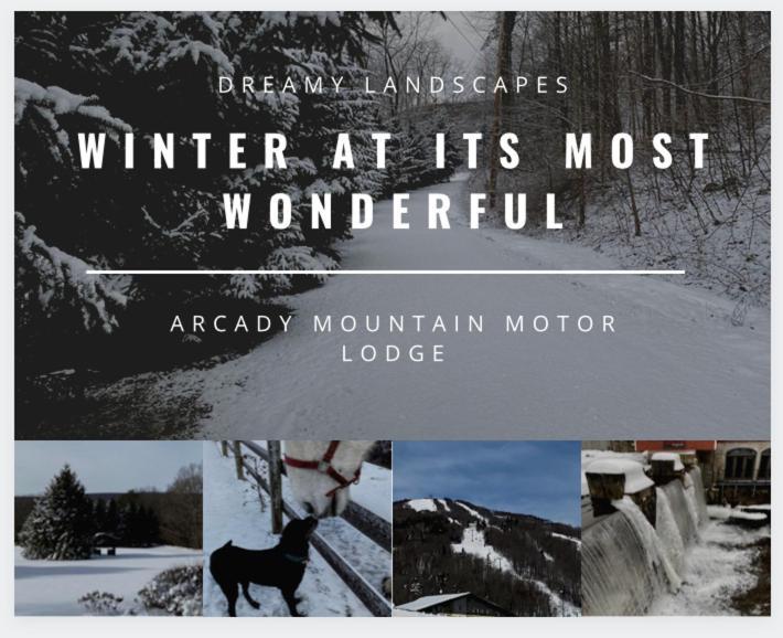 Arcady Mountain Motor Lodge Sunderland Exterior foto